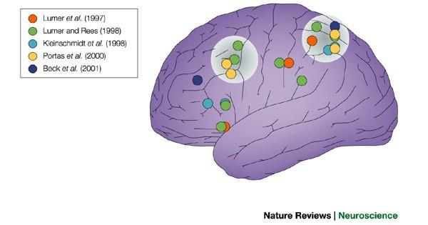 Understanding Behavior: The Science Behind Neural Correlates