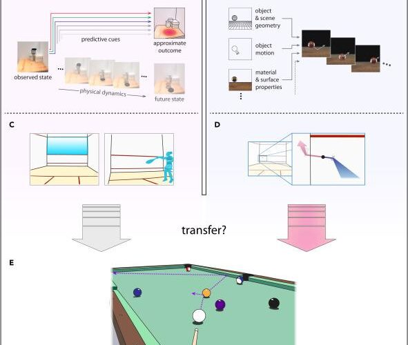 Intuitive physics learning in a deep-learning model inspired by developmental psychology