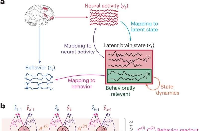 New AI can ID brain patterns related to specific behavior